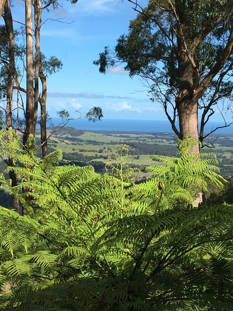 Escarpment - Dalby Accommodation 0