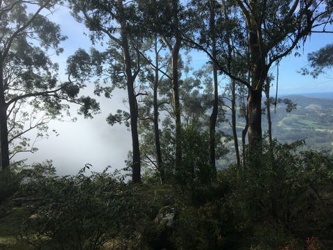 Escarpment - Dalby Accommodation 2