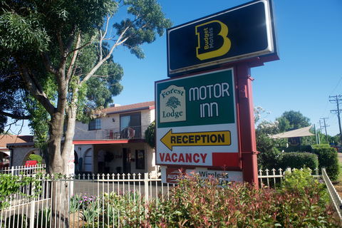 Forest Lodge Motor Inn And Restaurant - Dalby Accommodation 0