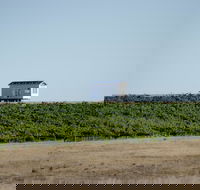 Hounds Run Vineyard - Dalby Accommodation