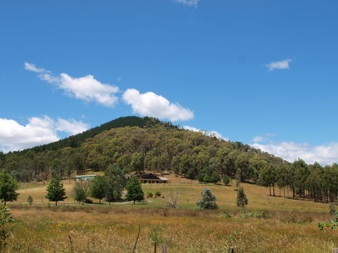 Mad On The Buckland - Dalby Accommodation 1