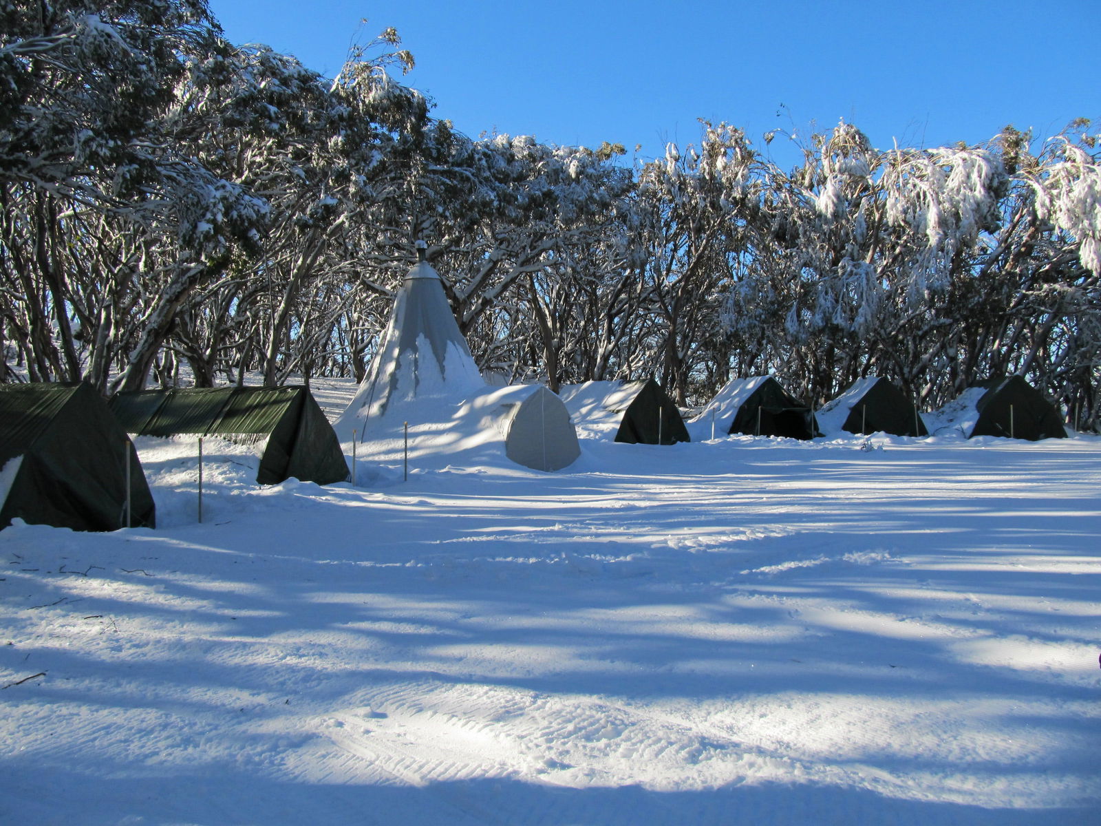 Mirimbah VIC Dalby Accommodation