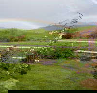 Platypus Cottage - Dalby Accommodation