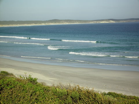 Raven Cottage KI - Dalby Accommodation 1