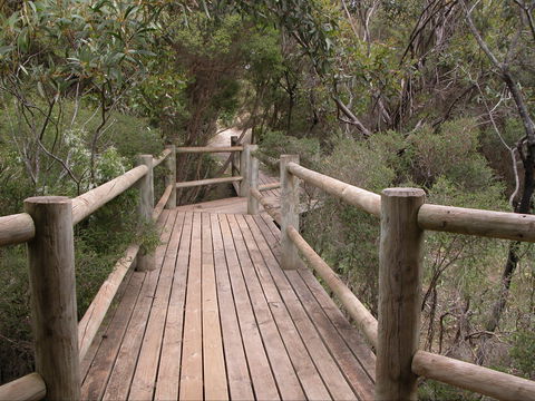 Raven Cottage KI - Dalby Accommodation 2