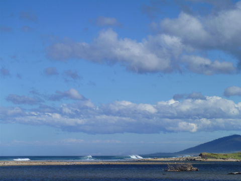 Scamander On The Beach - Dalby Accommodation 1