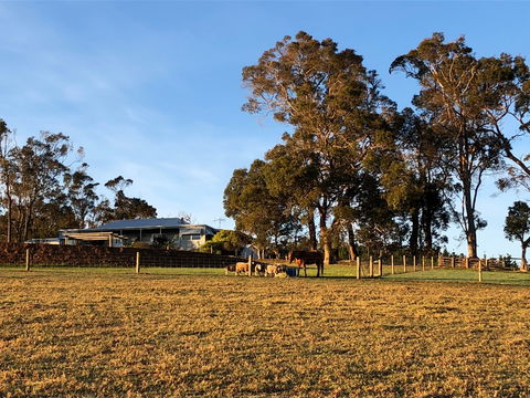 Great Southern Outback Tours & Accommodation - Dalby Accommodation 2