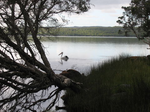 The Cove - Dalby Accommodation 0