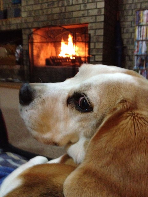 The Retreat On Matthew - Dalby Accommodation 1