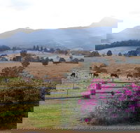The Barn  House Farm Stay at Possum Manor - Dalby Accommodation