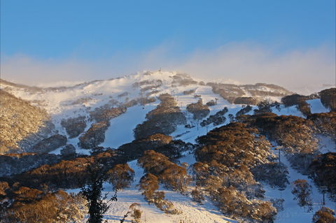 Thredbo YHA Snowy Mountains - Dalby Accommodation 2