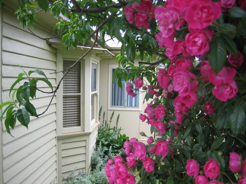 Valley Views Bed And Breakfast - Dalby Accommodation 0