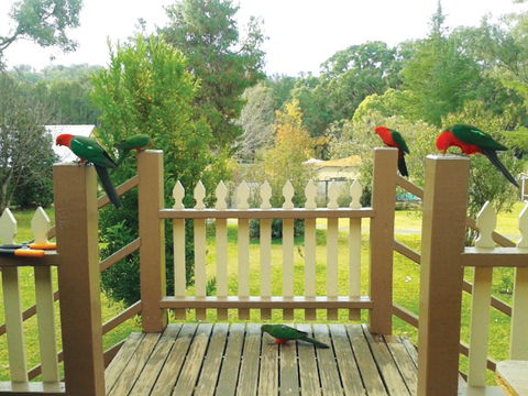 Warrumbungles Mountain Motel - Dalby Accommodation 0