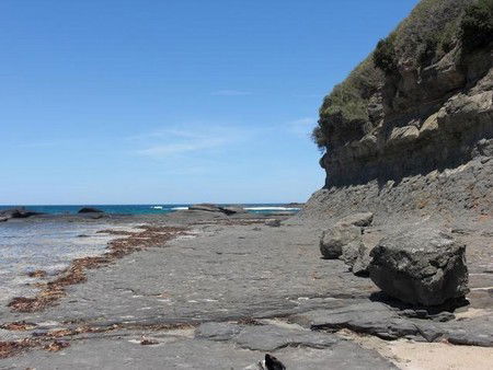 Dolphins Point Tourist Park - Dalby Accommodation 4