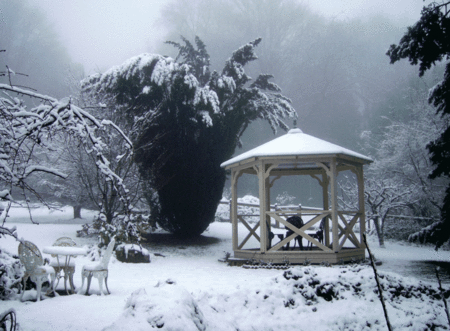 Arcadia Cottages - Dalby Accommodation 2