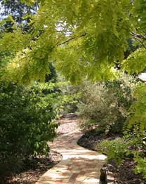 Eagle Hammer Cottages - Dalby Accommodation 0