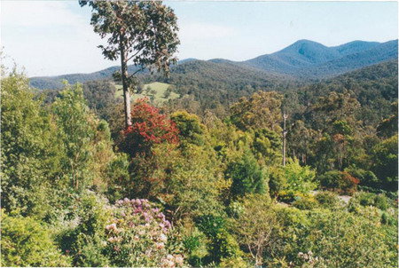 Helgrah Cottage - Dalby Accommodation 5