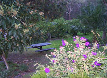 Sunway Farm B And B And Tours - Dalby Accommodation 2