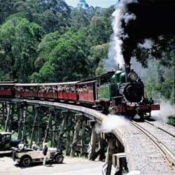 Yuulong Bed And Breakfast - Dalby Accommodation 5