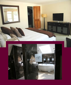 Montfort Manor - Dalby Accommodation 4
