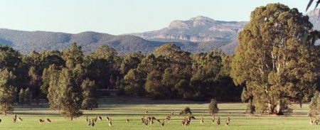 Wartook Gardens - Dalby Accommodation 1