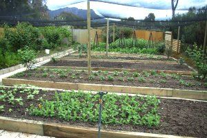 Wartook Gardens - Dalby Accommodation 3