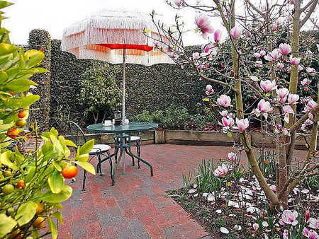 The Courtyard Mt Eliza - Dalby Accommodation 3
