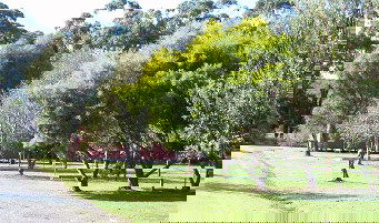 Otways Tourist Park - Dalby Accommodation 0