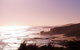 Beachwalk Cottage - thumb 5