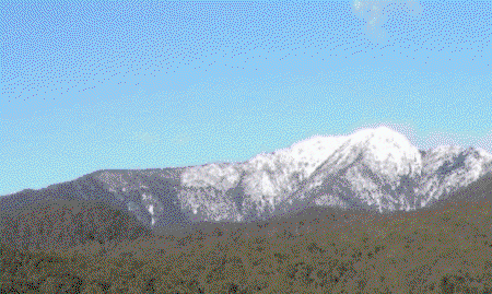 Buller House @ Alpine Ridge - Dalby Accommodation 3