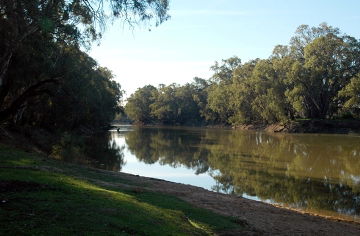Swan Hill Holiday Park - Dalby Accommodation 3