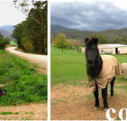 Emerald Park Holiday Farm - Dalby Accommodation