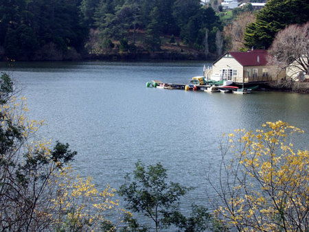 Azidene House - Dalby Accommodation 1