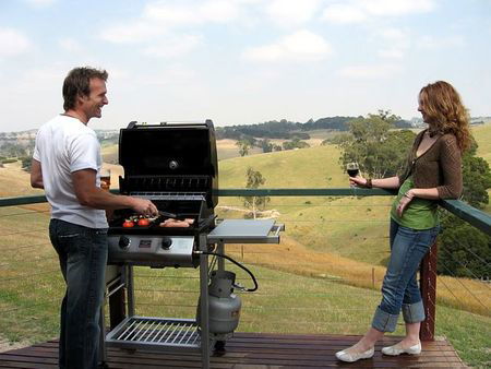 Loves Lane Cottages - Dalby Accommodation 4