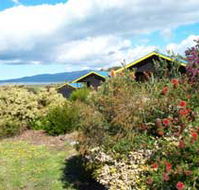 Black Cockatoo Cottages - Dalby Accommodation