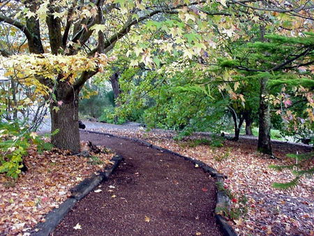 Brigadoon Cottages - Dalby Accommodation 3