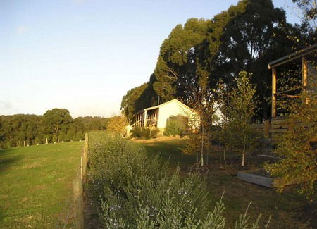 Birchwood Retreat Country Cottages - Dalby Accommodation 3