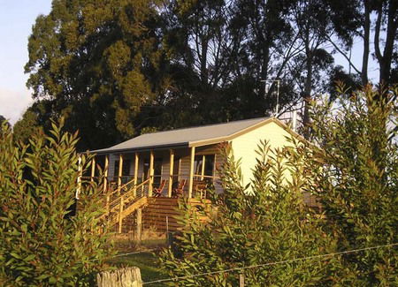 Birchwood Retreat Country Cottages - Dalby Accommodation 4
