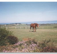 First Class Bed and Breakfast - Dalby Accommodation