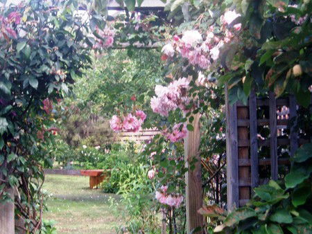 Hudspeth House Bed And Breakfast - Dalby Accommodation 2