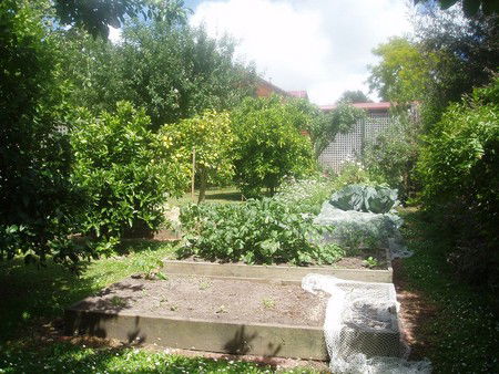 Hudspeth House Bed And Breakfast - Dalby Accommodation 4
