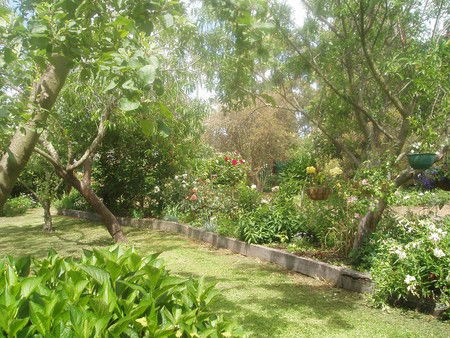 Hudspeth House Bed And Breakfast - Dalby Accommodation 5