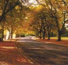 La Trobe at Beechworth - Dalby Accommodation