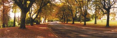 La Trobe At Beechworth - Dalby Accommodation 0