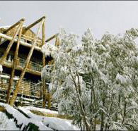 Silverski - Dalby Accommodation