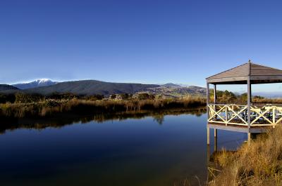 Wombat Hills Cottages - Dalby Accommodation 2