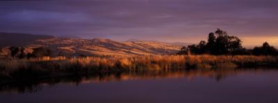 Wombat Hills Cottages - Dalby Accommodation 3