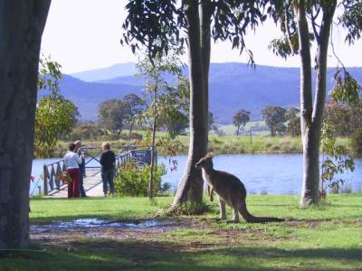 Wombat Hills Cottages - Dalby Accommodation 4