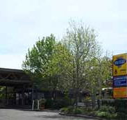 Sydney Hills Holiday Park - Dalby Accommodation