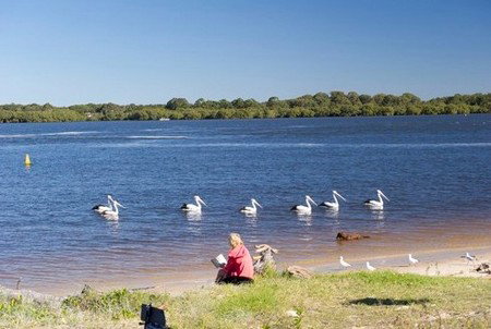 Ballina Central Holiday Park - Dalby Accommodation 2